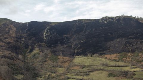 Vista general de un incendio forestal ya extinguido en las inmediaciones de la localidad de Llanos de Somern, en Lena