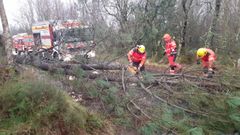 Efectivos del parque de bomberos de As Pontes retiran árboles derribados por el temporal en enero, en Pontedeume