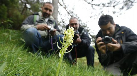 Participantes en el bioblitz celebrado en la sierra de O Courel en el 2012 fotografían un ejemplar de orquídea silvestre en el Alto do Couto