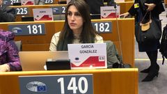 La directora general de Asuntos Europeos, Raquel Garca