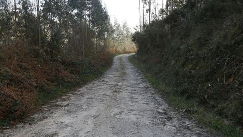 Los hechos ocurrieron en una pista forestal de Guitiriz.