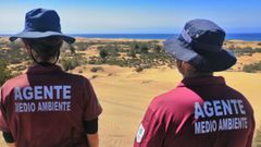 El Cabildo de Gran Canaria investiga si hubo delito ambiental en el reto viral de la búsqueda del tesoro en las dunas de Maspalomas