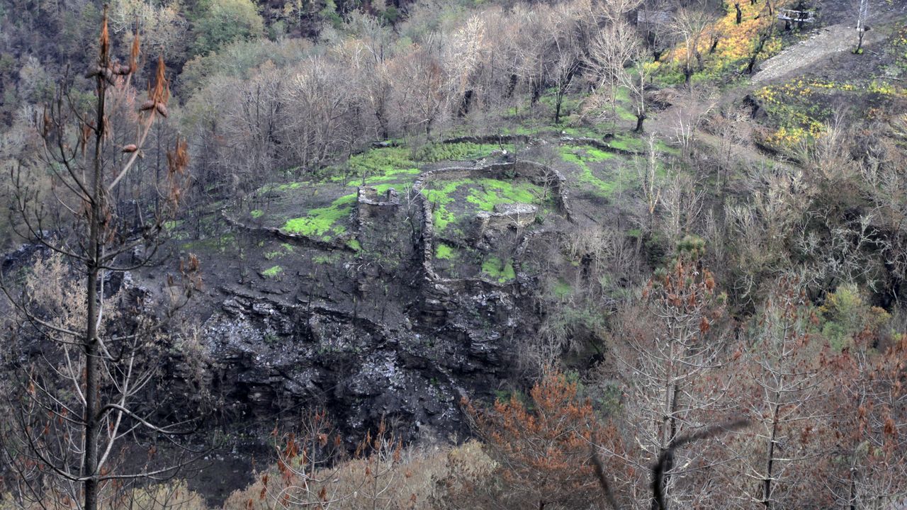 Un yacimiento arqueológico desbrozado por los incendios forestales del verano.Vista de la ría de Viveiro y la desembocadura del río Landro desde el mirador del monte Castelo, en Landrove.