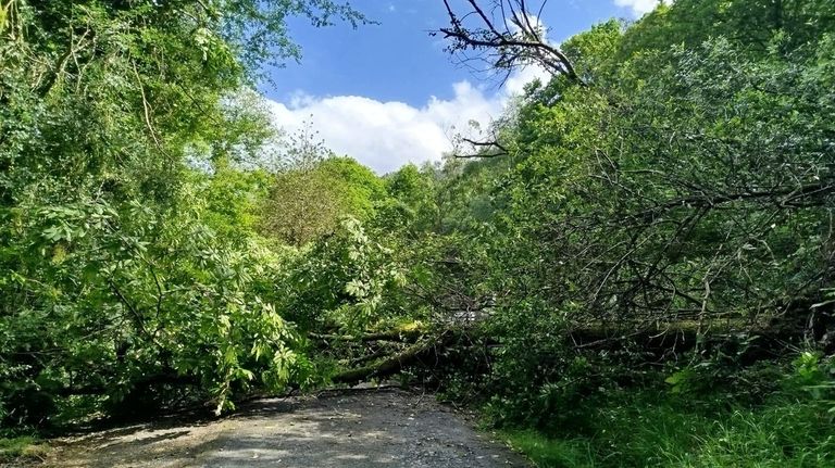 Caaveiro, sin bus este verano, salvo milagro, por el enredo sobre la titularidad de la carretera