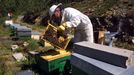 A apicultura é unha actividade tradicional que está experimentando un notable auxe na Serra do Courel nos últimos anos