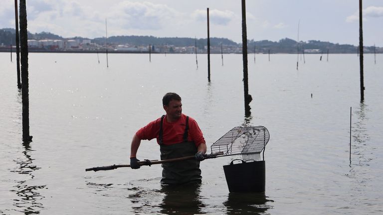 La cofradía y UPTA reclaman a Mar que no excluya a los parquistas de Carril del acceso al cese de actividad