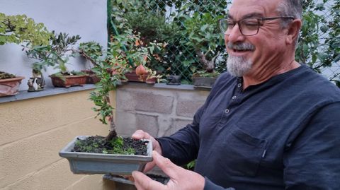 Fernández presume de su colección de bonsáis