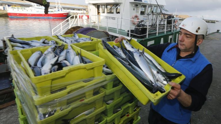 La Unión Europea rectifica con la xarda y alivia a su flota bajando el recorte del 70 al 48 %