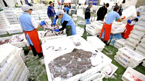 Subasta de pescado en la lonjaviguesa (foto de archivo), un eslabn de la cadena de valor de la pesca de bajura y altura en los que se centr Bluefishing Training, proyecto liderado por el Puerto de Vigo