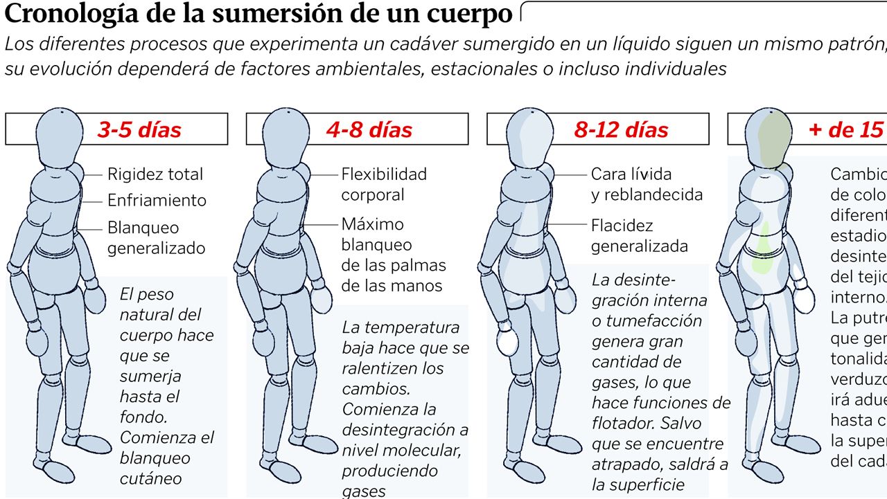Cronolog�a de la sumersi�n de un cuerpo
