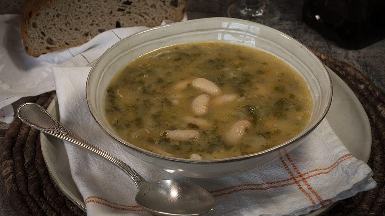 Estado de uno de los cachorros abandonados.Uno de los trenes de prueba en la rada gaditana de la nueva l�nea de Mar�n a Algeciras 