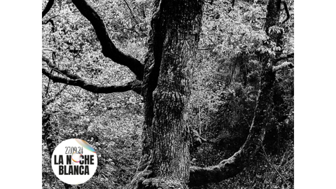 Muniellos | Noche Blanca