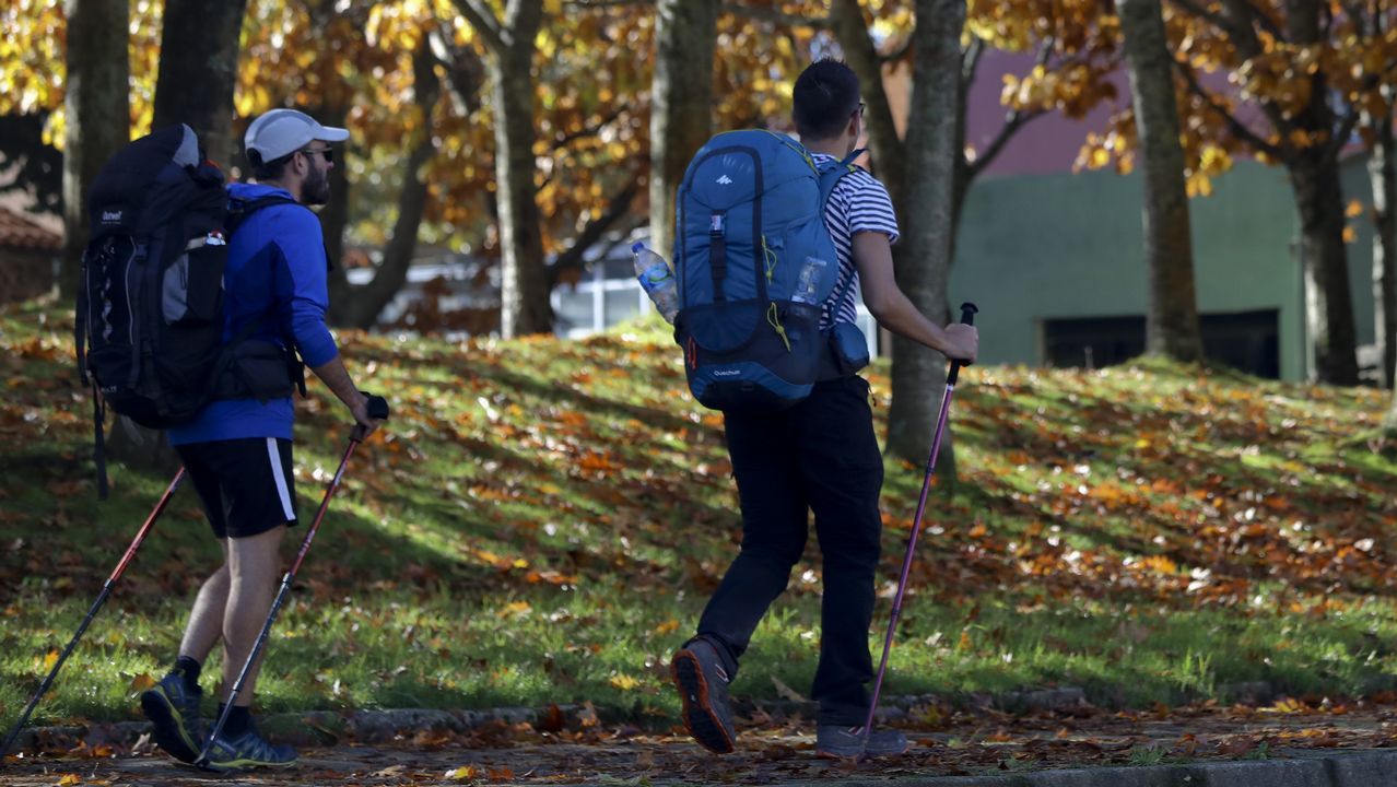 Una granja de O P�ramo transforma el pur�n en camas para las vacas