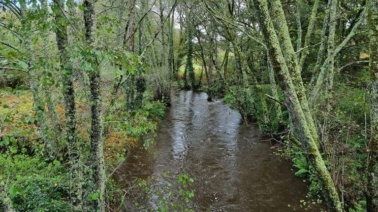 Río Barbantiño en Vilamarín