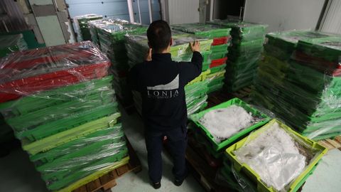 Pescado almacenado en la lonja de A Corua este jueves