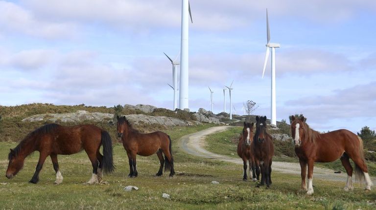 La eólica se reivindica contra los efectos de la guerra y advierte que nuevos impuestos pueden frenar la carrera renovable