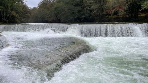 Río Verdugo en la playa fluvial de A Calzada, en Ponte Caldelas, durante la borrasca Beatrice del pasado fin de semana