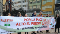 Pancarta en Oviedo en la concentracin al grito de Palestina Libre