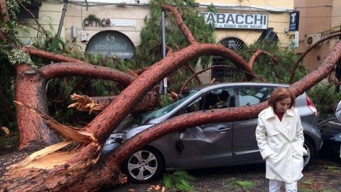 Varios vehículos aparcados han sido destrozados al caer un árbol debido a los fuertes vientos, en una calle deTerracina, Italia