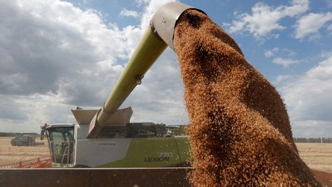 Una cosechadora carga trigo en un camión en la región de Kiev
