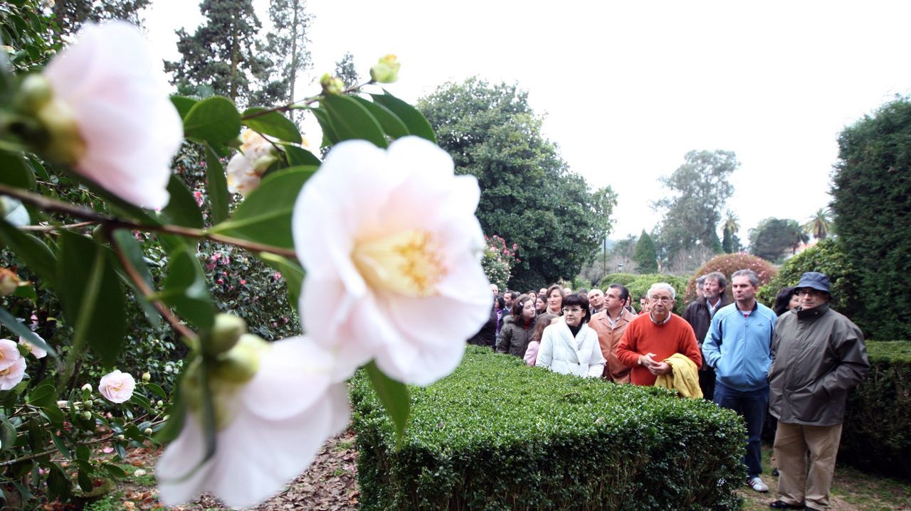 Ruta de las cascadas de Quiroga.Ruta de las camelias en el pazo de Rubi�ns