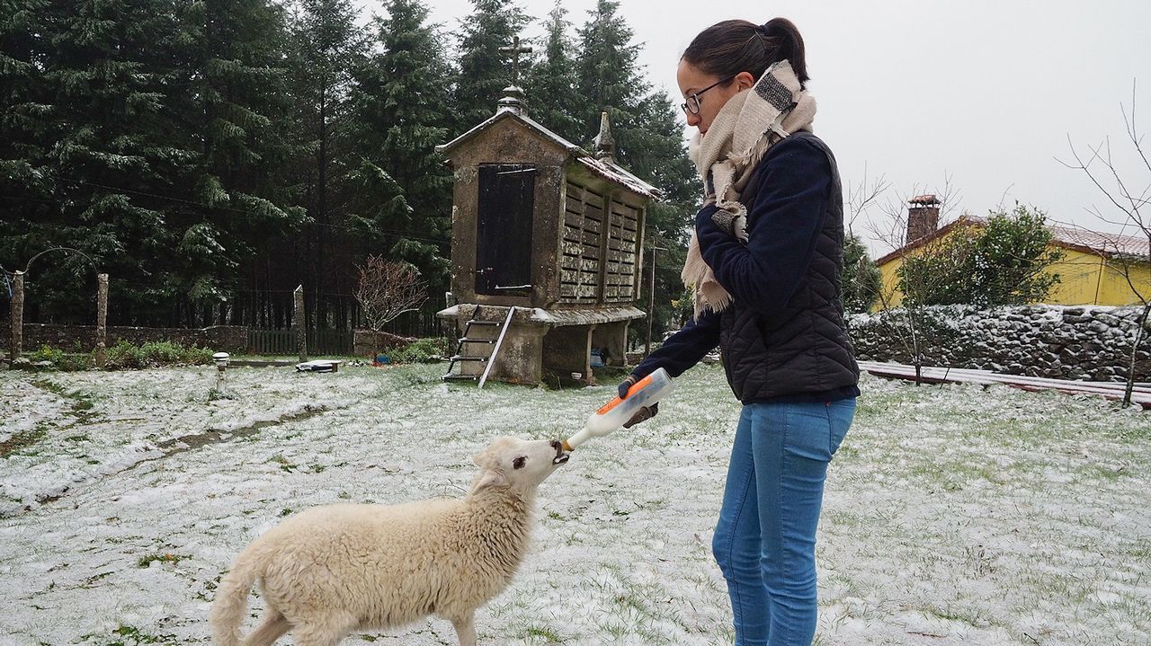 �Al fin lleg� la nieve a Santiago y su comarca!