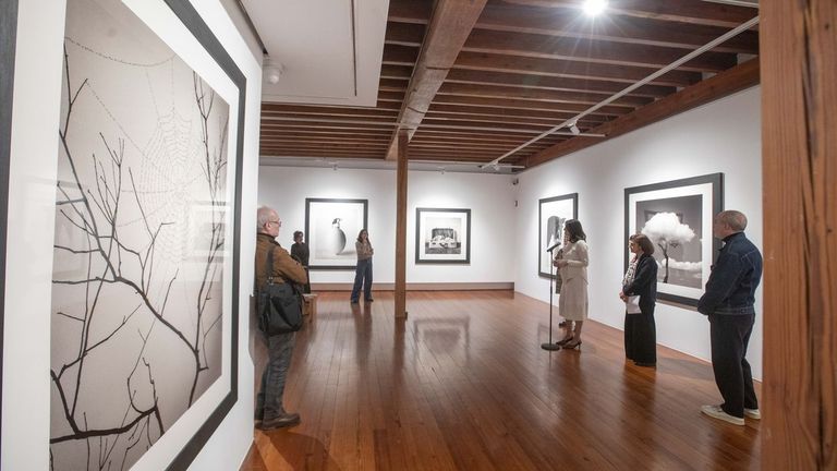 Filosofía de vida a través del diálogo con la naturaleza de Chema Madoz