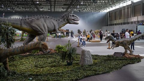 Dinosauria Experience abrir en Lugo este sbado