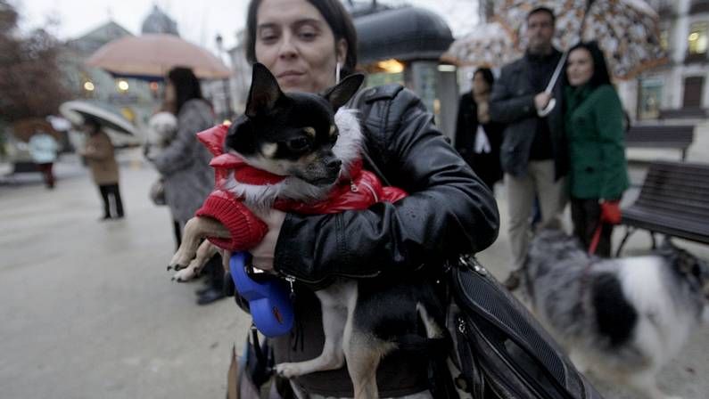 Los vecinos protestaron contra la concejala en la urbanizaci�n
