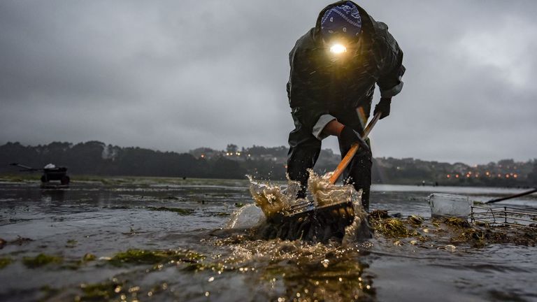 El ISM quiere eximir de pagar la Seguridad Social a las mariscadoras sin ingresos