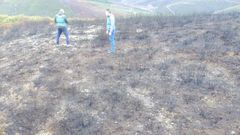 Guardia Civil investiga la zona de un incendio forestal