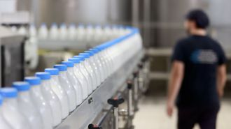Las empresas lácteas siguen siendo fundamentales en la economía lucense