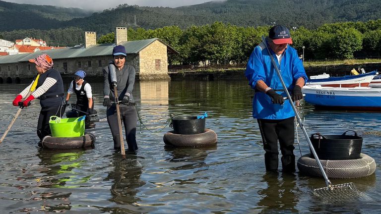 Los bancos marisqueros de Muros, despensa gallega del bivalvo