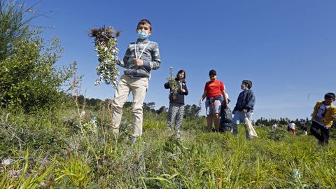 ACTIVIDAD VOZ NATURA EN EL PARQUE NATURAL DE CORRUBEDO, LIMPIEZA DE PLANTAS INVASORAS