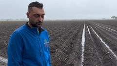 Los agricultores de A Limia temen que las lluvias echen a perder la cosecha de patata