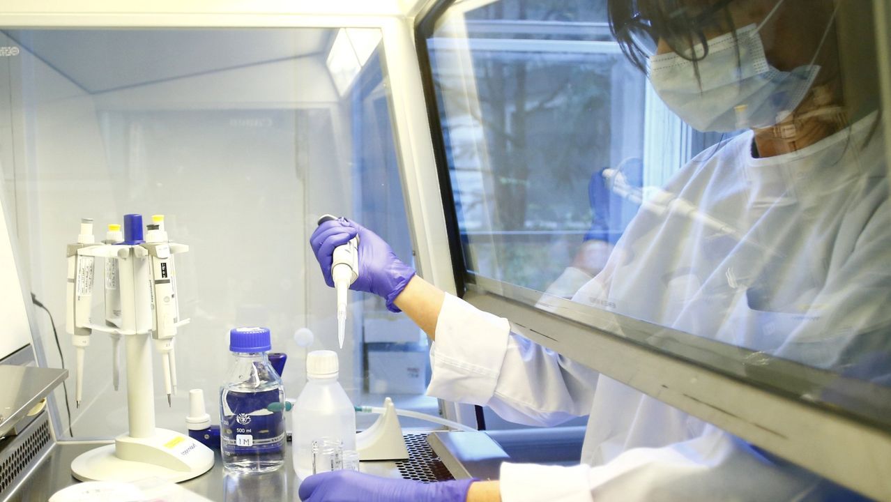 Fernando Sim�n analiza la situaci�n del coronavirus en Espa�a.Sanitarios recogen muestras de posibles casos de COVID-19