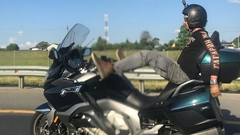 Un arriesgado �influencer� del motor