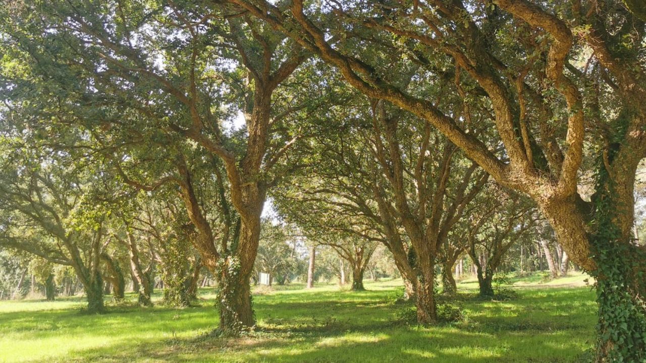 Ruta de las cascadas de Quiroga.El Sobreiral da Ribeira est� a 50 metros del cauce del r�o Mi�o.