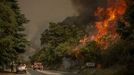 Bomberos trabajando en el incendio forestal registrado en Riodolas, Carballeda de Valdeorras