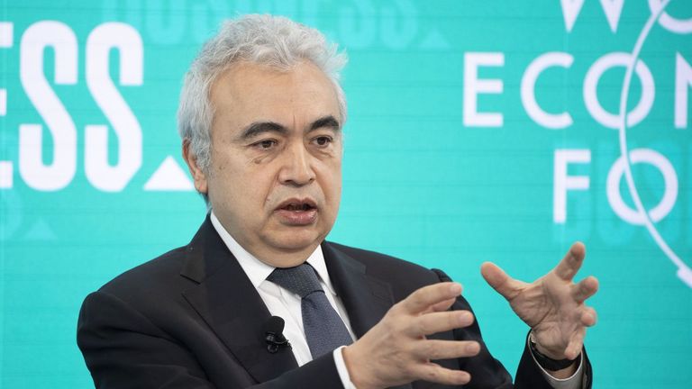 El OIEA prevé la peor crisis energética «en décadas»