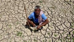 La sequa se agudizar por el cambio climtico, lo que provocar enormes prdidas en la agricultura mundial