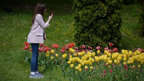 Una mujer toma fotografías de un jardín de tulipanes el pasado mes de mayo en Kiev