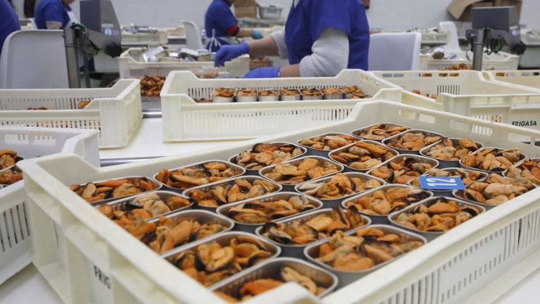 La OCU certifica que las mejores latas de mejillón llevan dentro bivalvo gallego