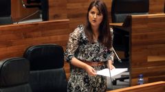 La portavoz de Ciudadanos, Laura Prez Macho, interviene en la Junta General