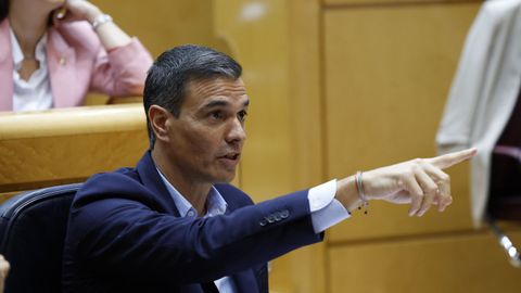 Pedro Sánchez