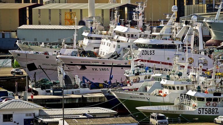 La flota gallega en Malvinas regresa con más de 42.000 toneladas de calamar patagónico