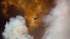 Imagen de los incendios en Canad