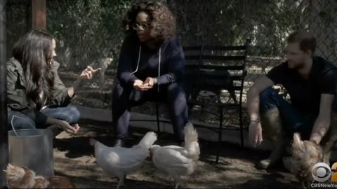 Un momento de la entrevista con Oprah Winfrey, con el príncipe Enrique y Meghan Markle en un gallinero
