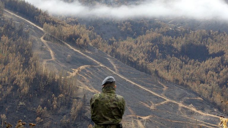 El seguro forestal no cuaja en Galicia por su alto coste y la falta de ordenación