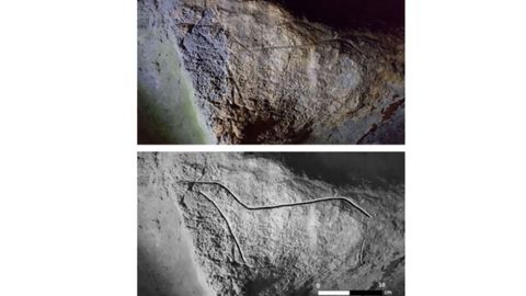Fotografía y calco de una cierva de la cueva de Las Mestas II